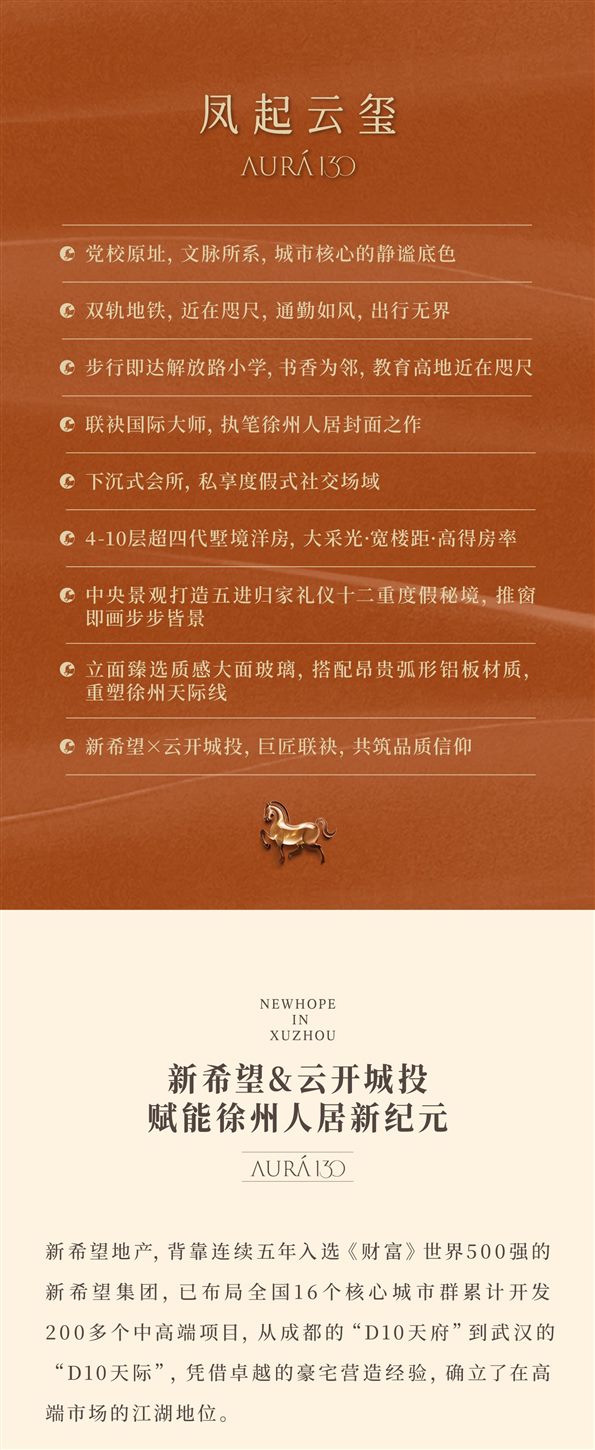 项目实景 / 效果图