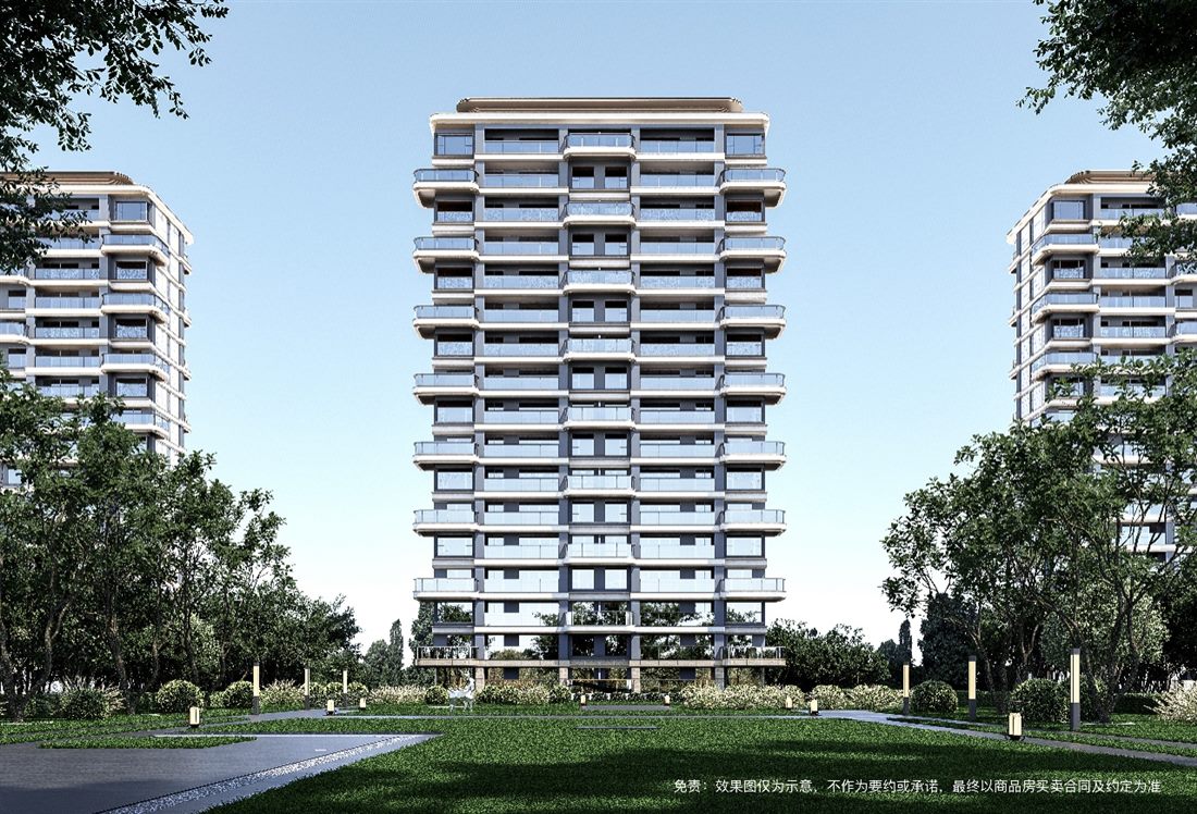 项目实景 / 效果图